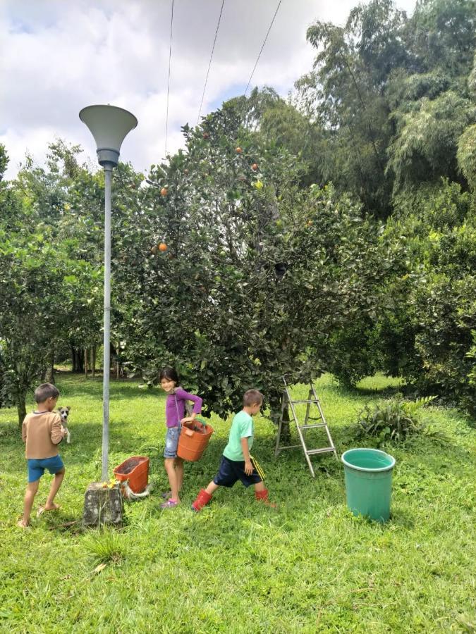La Acuarela, Posada De La Monita Pereira Exteriér fotografie