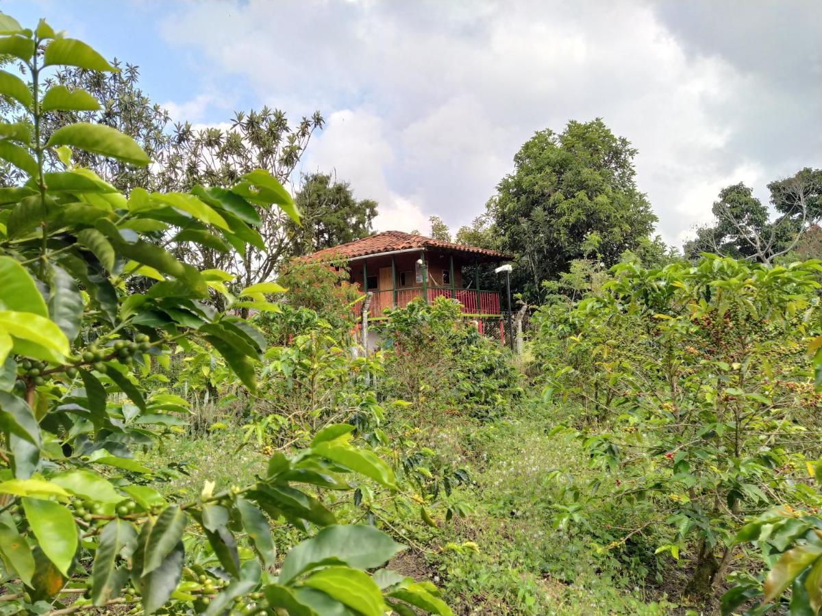 La Acuarela, Posada De La Monita Pereira Exteriér fotografie