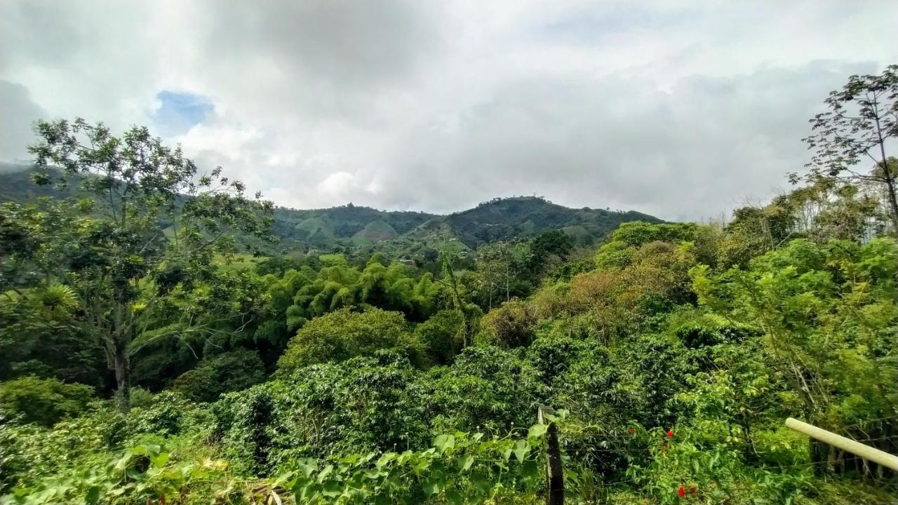 La Acuarela, Posada De La Monita Pereira Exteriér fotografie
